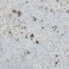 Granite