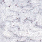 Granite
